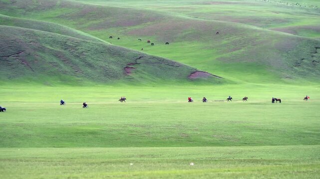 Naadam horse race on Mongolian steppe as riders gallop fast, raising dust across grassland.