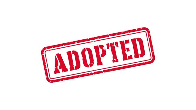 Animated adopted red grunge stamp for approval acceptance and official decision