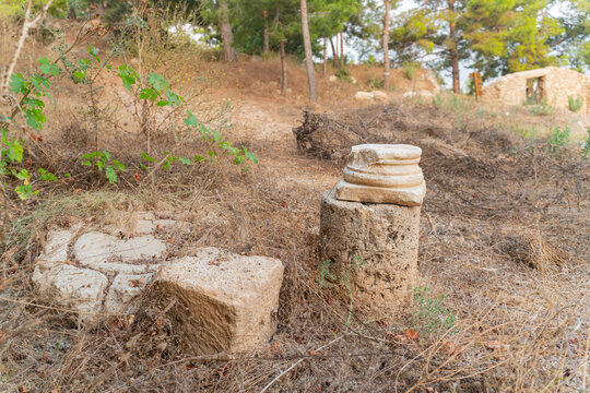 Ancient Roman stone column base abandoned among dry grass and trees at archaeological site in Turkey