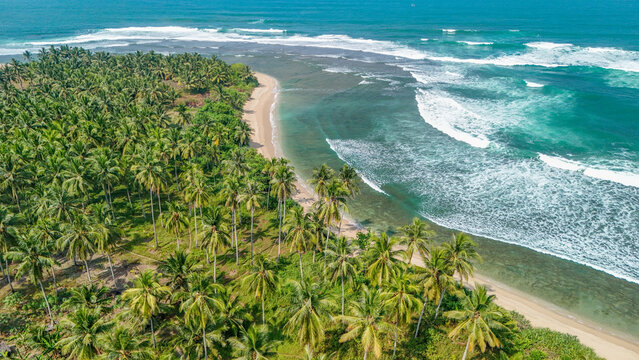 Aerial view of a lush tropical coastline featuring dense palm tree forests bordering a sandy beach with turquoise ocean waves crashing against the shore in Indonesia.