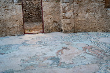 Fototapeta premium Ancient Mosaic Floor at Syedra Archaeological Site, Turkey