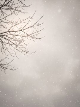 Snow on bare branches monochrome vertical japanese winter card subdued background with copy space