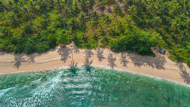 Aerial view of a tropical beach with turquoise water, white sand, and lush palm trees in Indonesia.