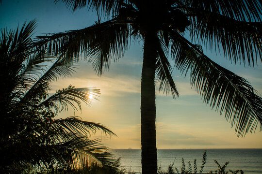 Tropical palm tree silhouette over sea at golden sunset with thatched roof bungalow resort