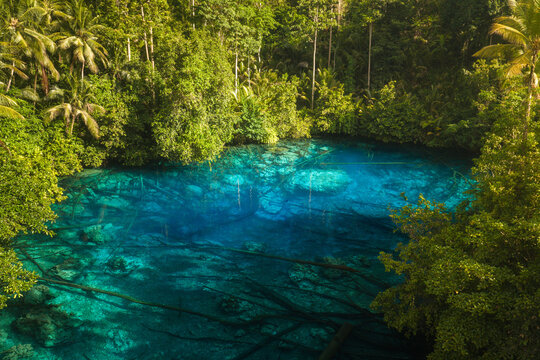 Aerial view of Danau Paisu Pok Luk Panenteng, a crystal-clear blue lake surrounded by lush tropical rainforest and palm trees in Bulagi Utara, Central Sulawesi, Indonesia.