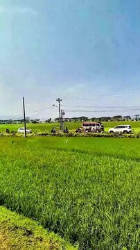 Salatiga, Central Java, Indonesia - May 29 2025: 1080p 60fps travel video heading to Rawa Pening, featuring lush green rice fields captured from a moving train. High quality.