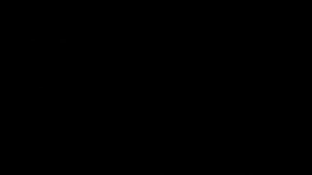 File ID(s): 2153943532 - Original name(s): Film_Scratches_On_A_Black_Background_fhd_1351346.mp4