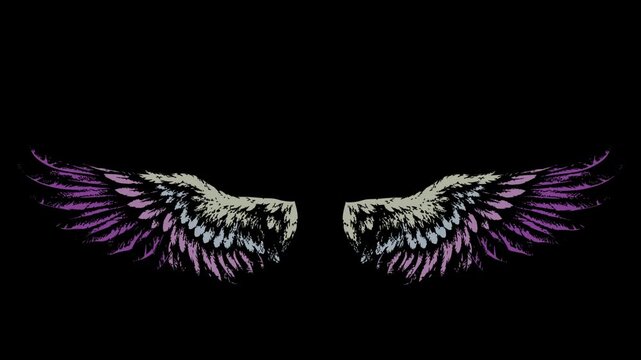 Symmetrical hand drawn angelic wings illustration with purple feather accents isolated on black background for design and illustration feathers symmetrical background animation artistic