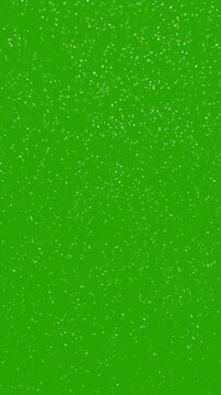 Vertical Dust Particles Animation, Green Screen Particle Overlay, Floating Dust Specks on Green Background