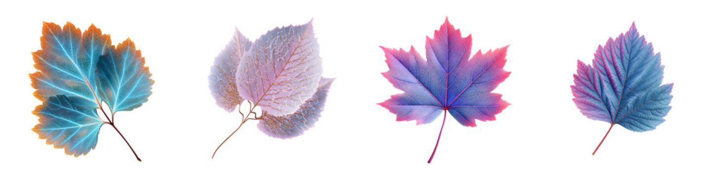 Colorful Autumn Leaves Collection: Abstract Floral Patterns on White Background