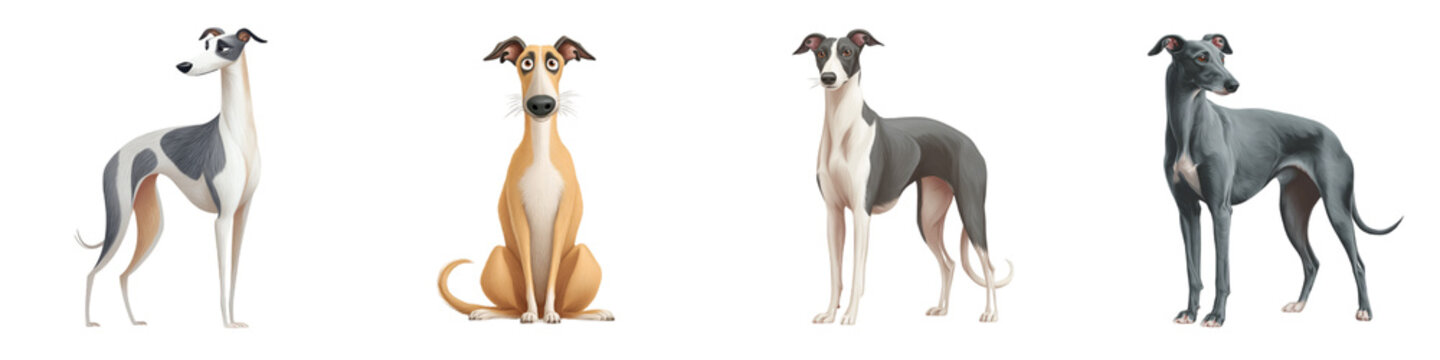 Greyhound Dog Cartoon Set: Four Animated Breed Characters on White