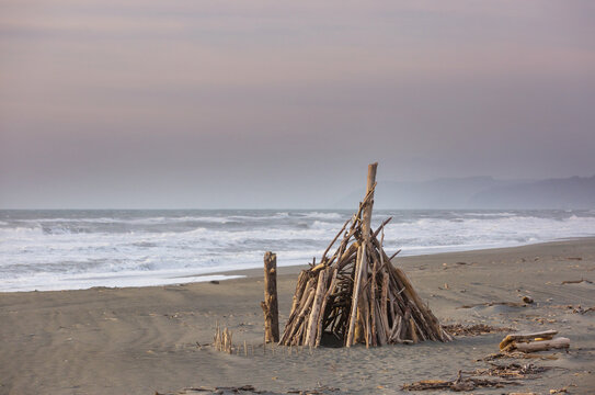 Pacific ocean coast