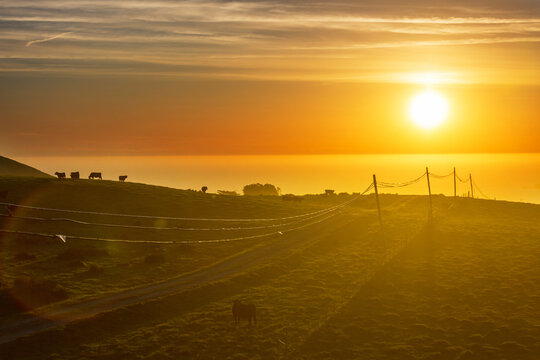 Rural landscapes