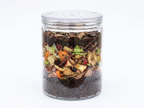 Worm composting bin with layers of organic waste and earthworms in a clear glass jar Isolated on White Background
