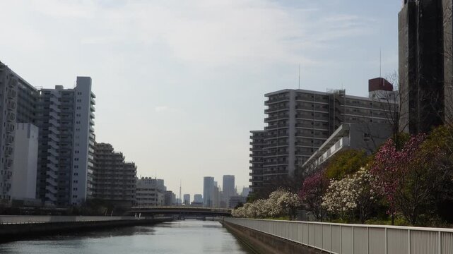 春の運河沿いに建ち並ぶ高層マンション群と水辺の遊歩道