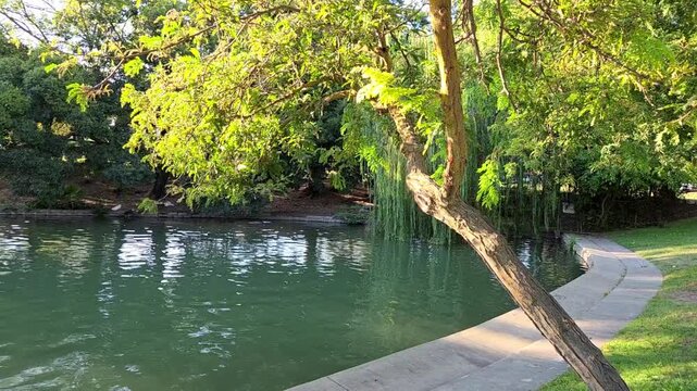 river in the park