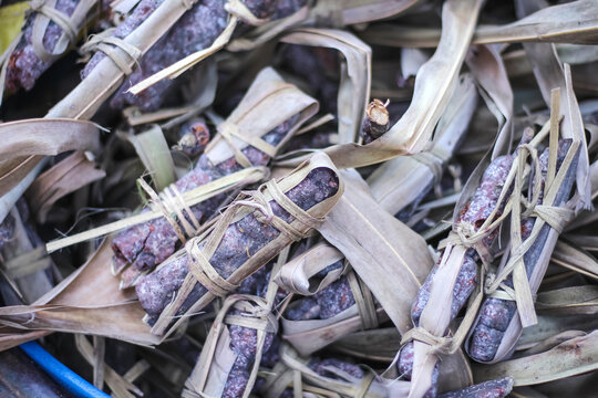 Lac on rain wood in dry coconut leaf prepare to hang on rain trees for propagation