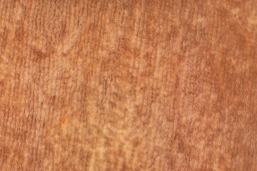 Close-up texture of soft brown fluffy fleece fabric background © Atiek