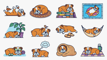 Fototapeta premium Vector illustration set featuring twelve brown and white English Bulldogs sleeping in various distinct poses including in a pool, a hammock, and wrapped snugly in a woven blanket.