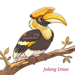 Obraz premium Wreathed Hornbill or Julang Emas Flat Vector Illustration - Endemic Bird of Java and Borneo Indonesia.png