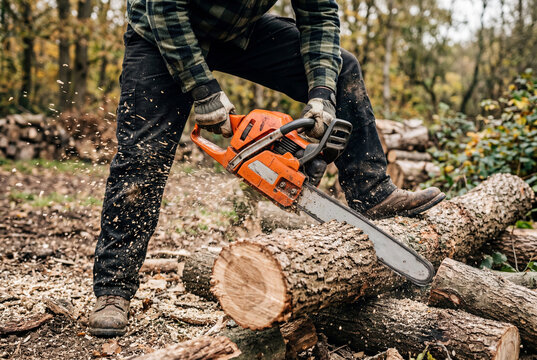 Male worker cutting wooden log with orange chainsaw in forest