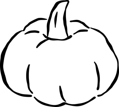 Cute Pumpkin Outline Hand Drawn Illustration