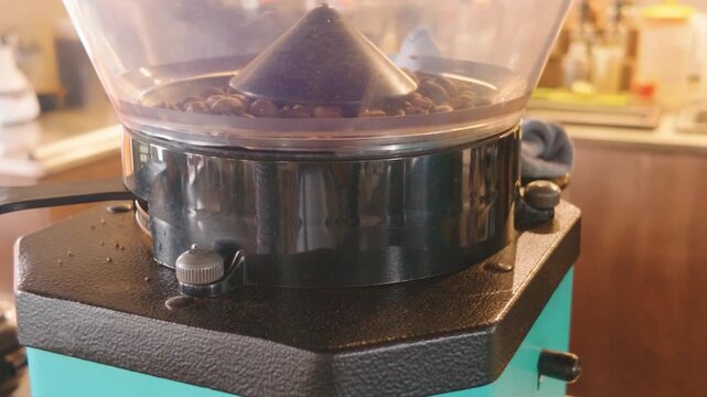 Close up of an electric coffee grinder hopper filled with roasted coffee beans.
