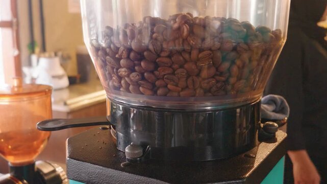 Fresh roasted coffee beans loaded inside a transparent hopper of an electric grinder in a cafe.