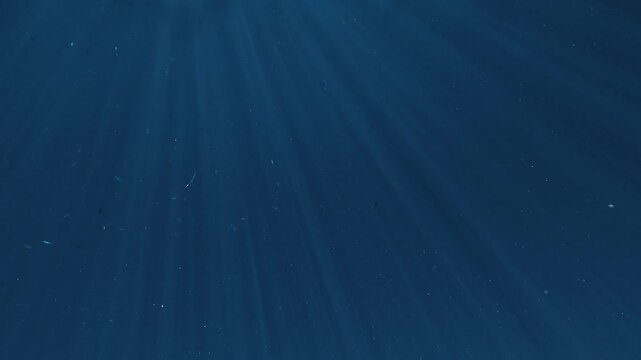 Deep blue ocean filled with sun rays streaming down from the surface. Three 10-second sequences shown at progressively slower speeds.