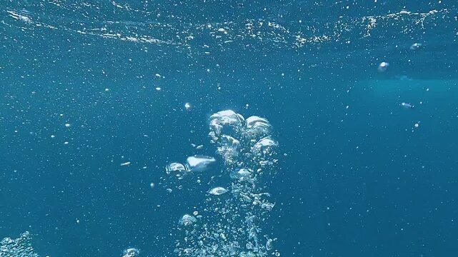 A cloud of bubbles rises from the ocean depths in slow motion, becoming progressively denser as it approaches the surface.