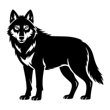 Wolf Standing Upright