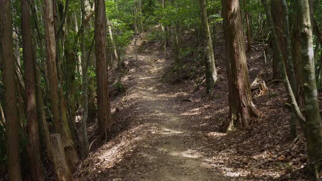 Hari Jizo (Needle Jizo Statue), Kumano Kodo Nakahechi Route, Tanabe City, Wakayama, Japan　熊野古道 中辺路「針地蔵尊」和歌山県田辺市