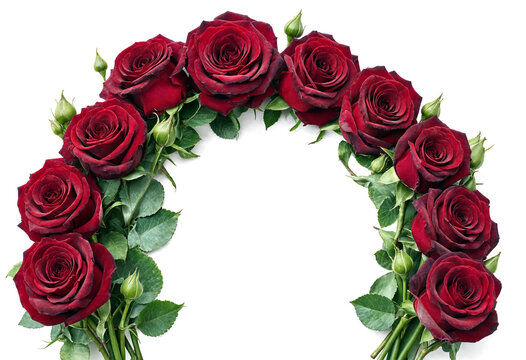 Beautiful arrangement of deep red roses forming a perfect arch shape with green leaves