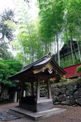 Fototapeta premium Wooden water pavilion with gold metal ornaments surrounded by green bamboo forest at a Shinto shrine in Japan