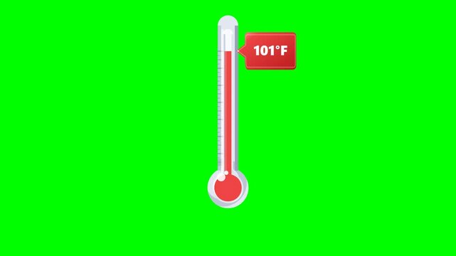 Temperature Thermometer Fill - Animated Fever Alert on Greenscreen