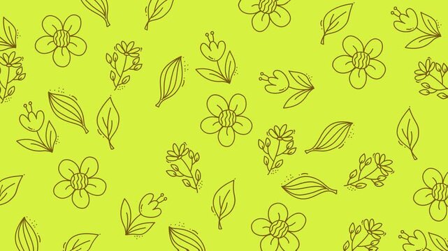 Hand drawn flower doodle background pattern, smoothly moving in seamless looping animation for creative ptoject
