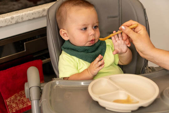 Curious Baby Boy Reaches Toward Offered Feeding Spoon