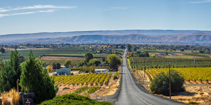Yakima Valley agriculture landscape with vineyards and road