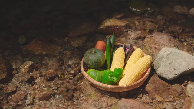 清流に浸した夏野菜