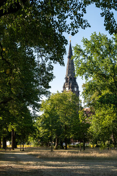Garrison Church St. Martin in Dresden framed by lush green trees in a sunny park with tall grass, highlighting historic architecture and serene natural beauty.