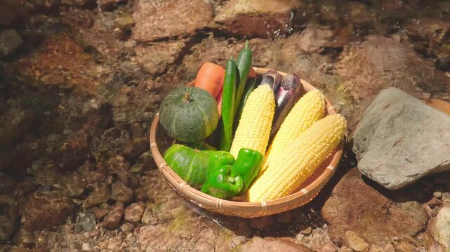 清流に浸した夏野菜