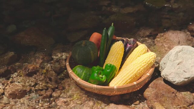 清流につけた夏野菜