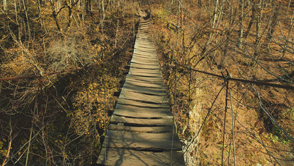 Rustic wooden bridge spans forest ravine during fall season. Warm golden light filters through bare trees. Earthy tones dominate scene. Ideal for adventure, travel, nature themes © VeNN