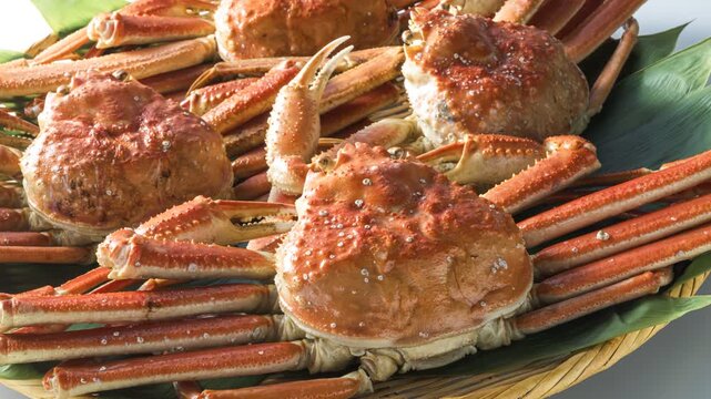 Whole boiled snow crabs piled together with legs and claws spread out, camera zooms in and pans across the shells