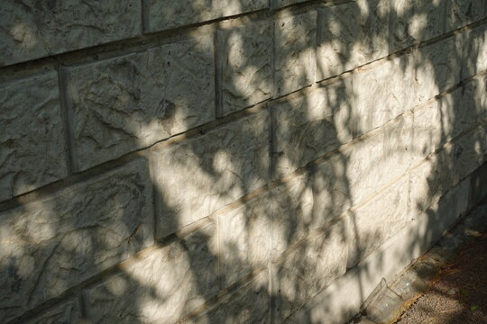 Tree branch shadow falling on a textured stone wall background