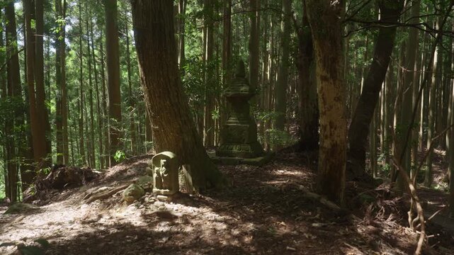 Kumano Kodo Nakahechi Route: Hachidai Ryuo (Eight Great Dragon Kings) Statue at Hashiori-toge Pass, Tanabe, Wakayama, Japan　熊野古道 中辺路「箸折峠の八大龍王像」和歌山県田辺市