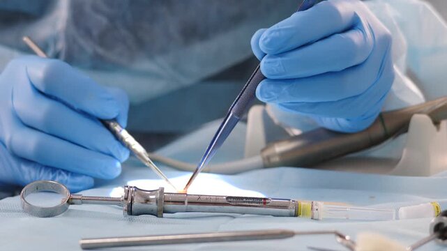 Dental surgeon precisely preparing piece of gingival graft tissue with scalpel and surgical tweezers on sterile table. Crucial surgical step before gum plastic surgery after dental implantation 4k