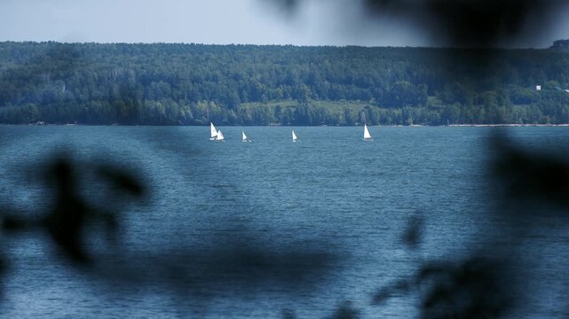 Small sailboats glide across a lake with a forested shoreline, viewed through blurred leaves, capturing peaceful outdoor sailing and nature scenery