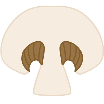 음식_양송이 버섯_일러스트 ver.1