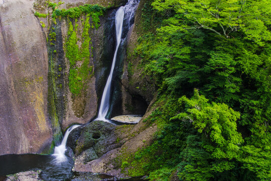 袋田の滝